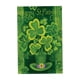 thumbnail image 1 of Bandera de Jardín Patricio Tréboles de Doble Cara Bandera de Tréboles Irlandeses para Decoración de Jardín Y Familia, 18 '' × 12 re Baoblaze banderas del día de san patricio, 1 of 8