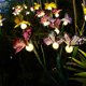 thumbnail image 3 of Ganfancp Luz Solar de Jardín Luz Decorativa de Jardín Lámpara de Balcón Decoración de Jardín Exterior Ofertas Flash 1X Luz de Mariposa, 3 of 7
