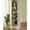 Black, variant on NTGFU Black 5-Tier Corner Shelf, Wall Mounted Floating Shelf, Zigzag Corner Shelf Unit, PVC Rattan Sides, Space-Saving, For Kitchen, Living Room, Bedroom, Boho Style