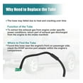 thumbnail image 7 of B Fuel Vapor Separator Hose for Ford, 7 of 7