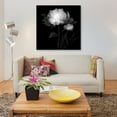 thumbnail image 3 of iCanvas  "Peonies III, B&W" by Magda Indigo Canvas Print, 3 of 3