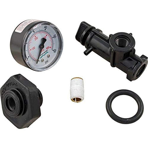 Pentair 24850-0105 Valve and Gauge Assembly Replacement for Select Sta-Rite Pool and Spa Filters