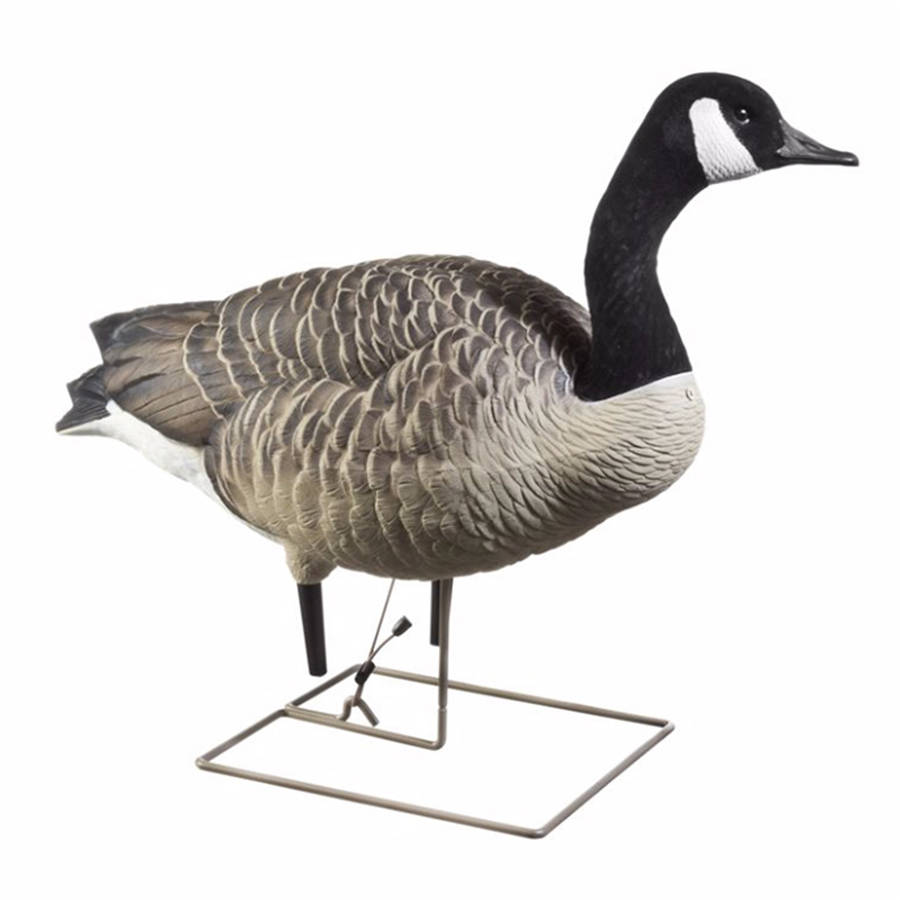 AvianX AXP FullBody Painted Canada Goose Decoys