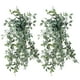 thumbnail image 1 of IDEANATEGRATE 2Ud Plantas Decorativas Colgantes Artificiales Para Y Cocina Con Follaje Multicolor Y Duradero, 1 of 7