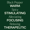 thumbnail image 4 of Plant Therapy Black Pepper Essential Oil 30 mL (1 oz) 100% Pure, 4 of 8