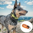 thumbnail image 4 of Bienvenido Collar de perro ajustable, correas de entrenamiento para mascotas fuertes y duraderas para perros medianos, 4 of 5