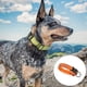 thumbnail image 4 of Bienvenido Collar de perro ajustable, correas de entrenamiento para mascotas fuertes y duraderas para perros pequeños, 4 of 5