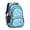 Paisley and Damask-2, variant on Paisley and Damask Black Pattern Cute School Backpack Bag with Padded Back and Adjustable Shoulder Straps 16.9 X 12.6 X 5.9 Inches