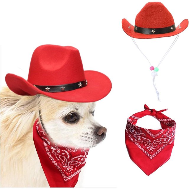 chapeau De Cowboy Et Charpe Bandana Pour Chiens Et Chats - Chapeaux Sombrero Pour Chiots, Chiots Et Chats - Costumes Pour Animaux De Compagnie - D
