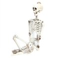thumbnail image 2 of Terrifying Skull Decoration, Exquisite Resin Skeleton, Party Decor For Cemetery Scene House Halloween S,M,L, 2 of 8