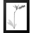 thumbnail image 2 of Koetsier, Albert 12x14 Black Modern Framed Museum Art Print Titled - Lily Of The Vally Bush H07, 2 of 5