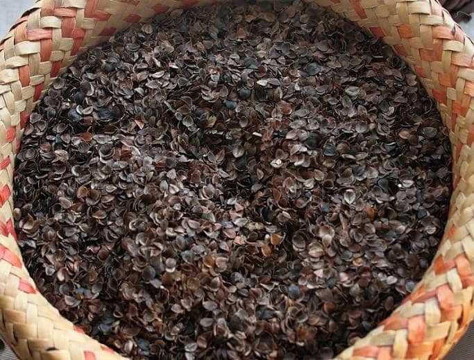 White Lotus Home Buckwheat Hulls Pillow & Cushion Fill - 25 lbs