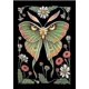 thumbnail image 1 of Pintura de diamantes de mariposa verde, diamantes completos, arte de diamantes y accesorios y herramientas, 30*40 CM, artesanías de decoración de paredes familiares, 1 of 5