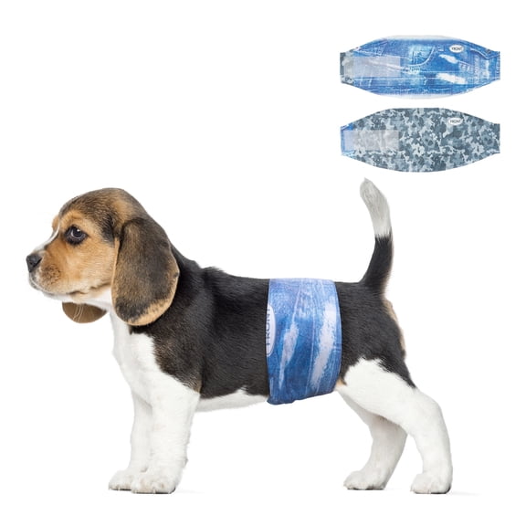 Dono Wider Disposable Male Dog Wraps, Super-Absorbent, Leak Proof Fit X-Small 48 Count
