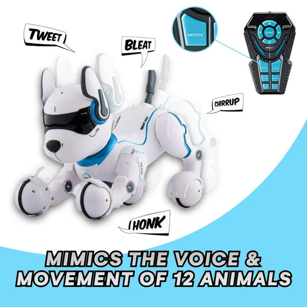 Jouet de robot intelligent pour enfants, télécommande interactive pour  animal de compagnie avec talkie-walkie et programme rc sans fil