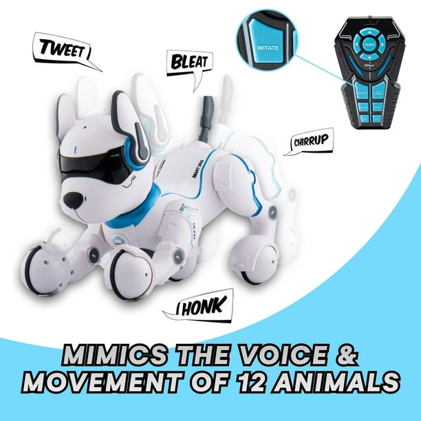 Rc pets cheap toys