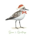 thumbnail image 3 of Sheppard, Lucca 12x14 Black Modern Framed Museum Art Print Titled - Christmas Sandpiper I, 3 of 5