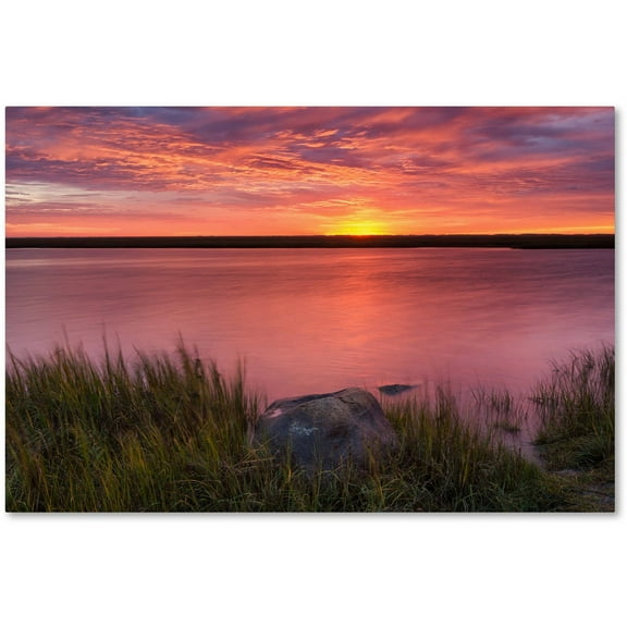 Trademark Fine Art "Windy Marsh" Canvas Art by Michael Blanchette Photography