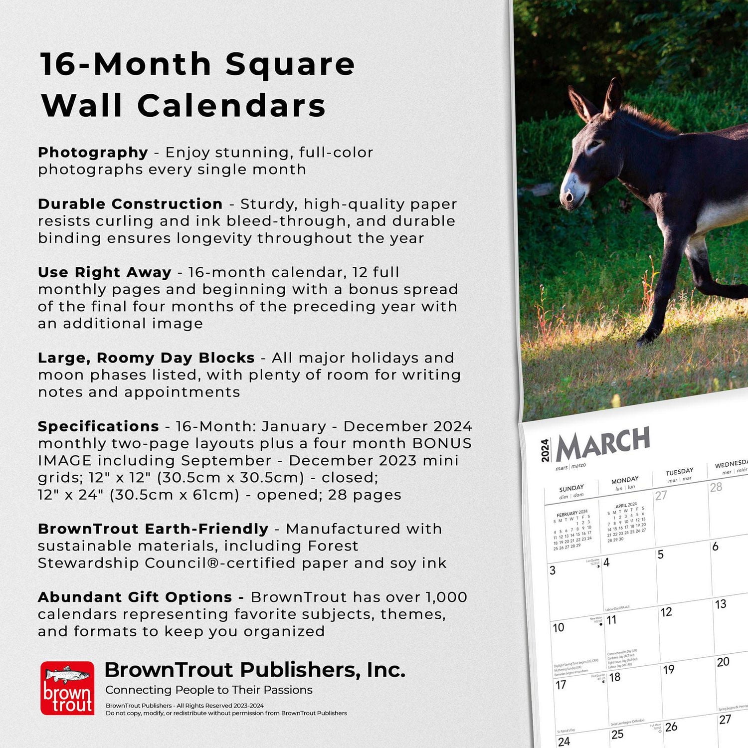 BrownTrout Donkeys 2024 12x24 Inch Square Wall Calendar, 9781975462611