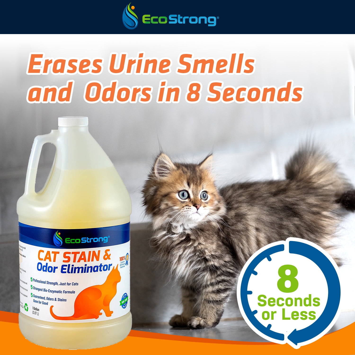 The 8 Best Cat Pee, Odor, and Stain Removal Products, Tested and Reviewed