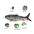 thumbnail image 3 of Señuelo Eléctrico, CEBO DE NATACIÓN MULTISTICULADO RECARGABLE CON LUZ LED PARA PESCA, NATACIÓN AUTOTICA REALISTA, EMISIÓN DE LUZ Verde Subacuática, 3 of 7