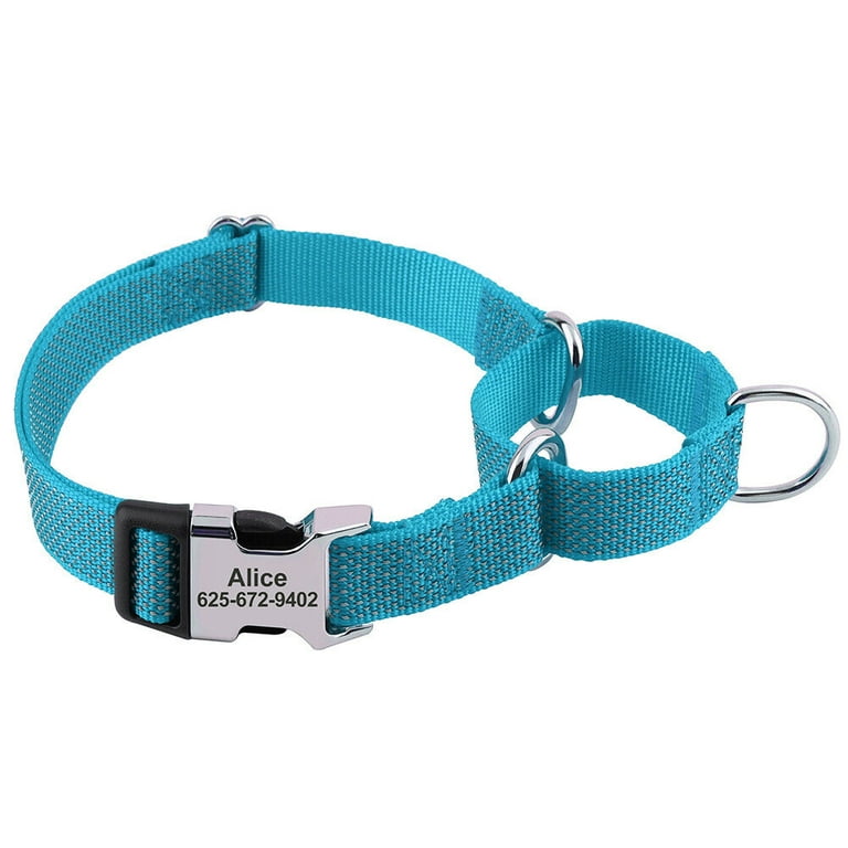 Martingale collar with name hot sale