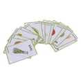 thumbnail image 2 of Tarjetas Aprendizaje educativo Imagen y tarjeta de palabras Flashcards Vegetal - Vegetal - 20 Piezas Zulema tarjetas flash de palabras, 2 of 8