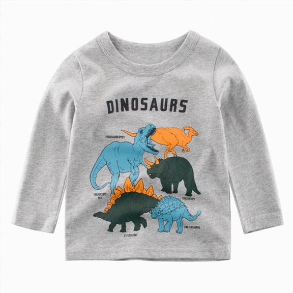 Splozh Boy Long Sleeve Shirt 1T 2T 3T 4T 5T 6T 7T Toddler Kids Baby Boys Girls Dinosaur Print Long Sleeve Crewneck T Shirts Tops Tee, Grey, 2-3 Years