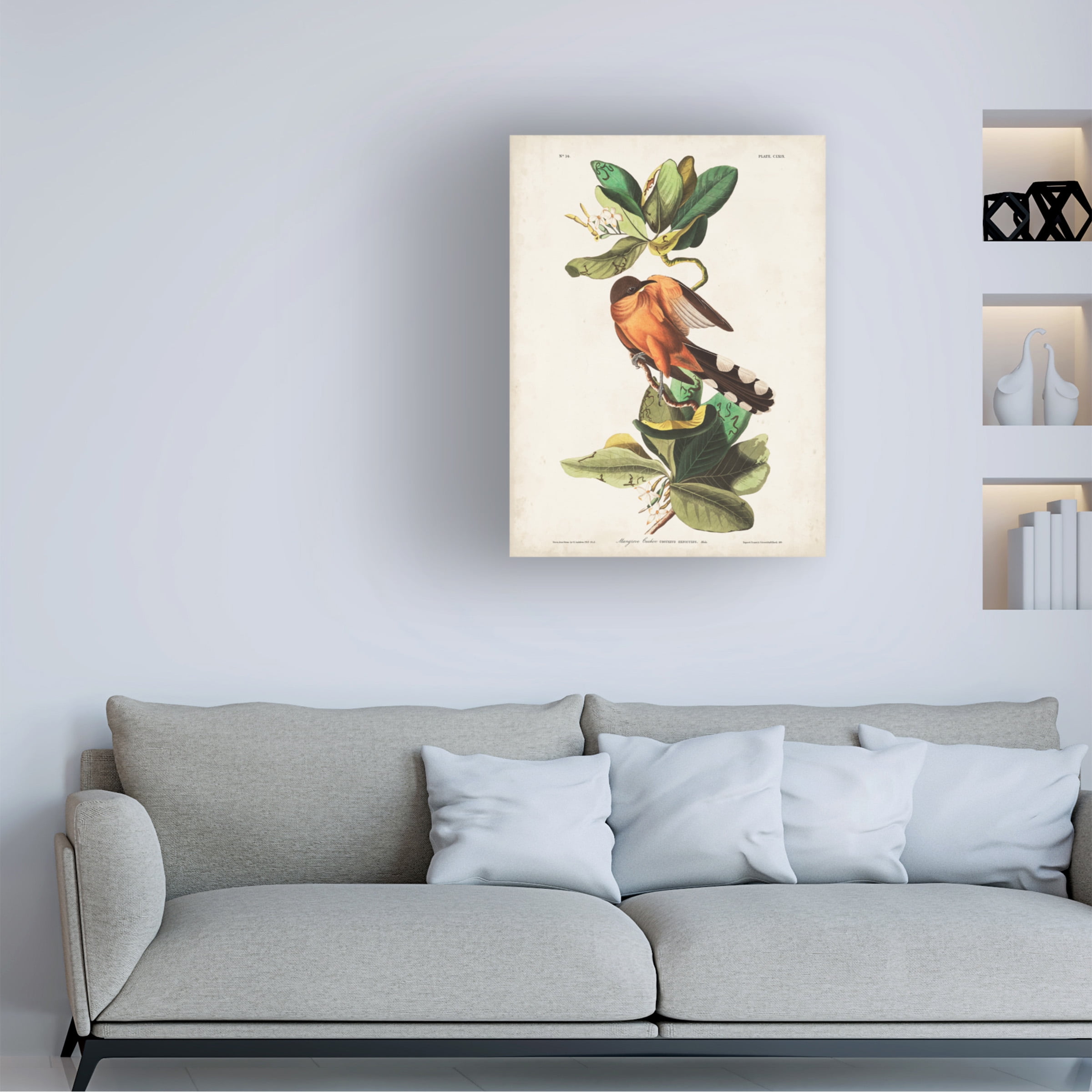 John James Audubon 'Mangrove Cuckoo' Canvas Art