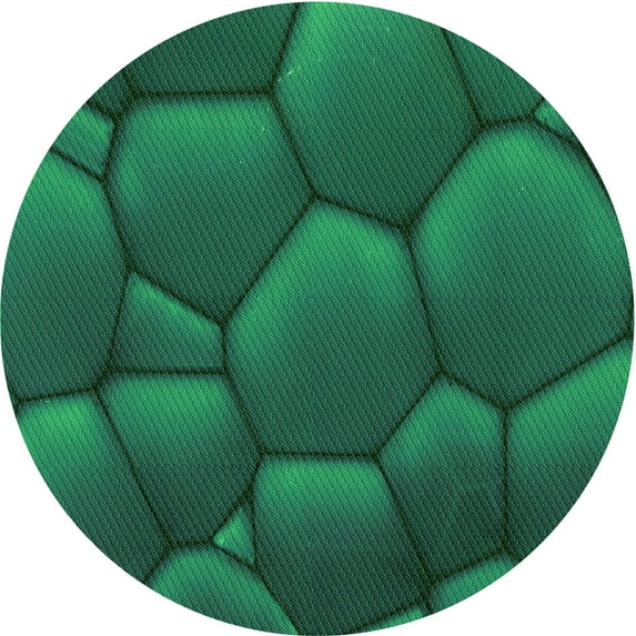Ahgly Company Machine Washable Indoor Round Transitional Deep Teal Green Area Rugs, 5' Round