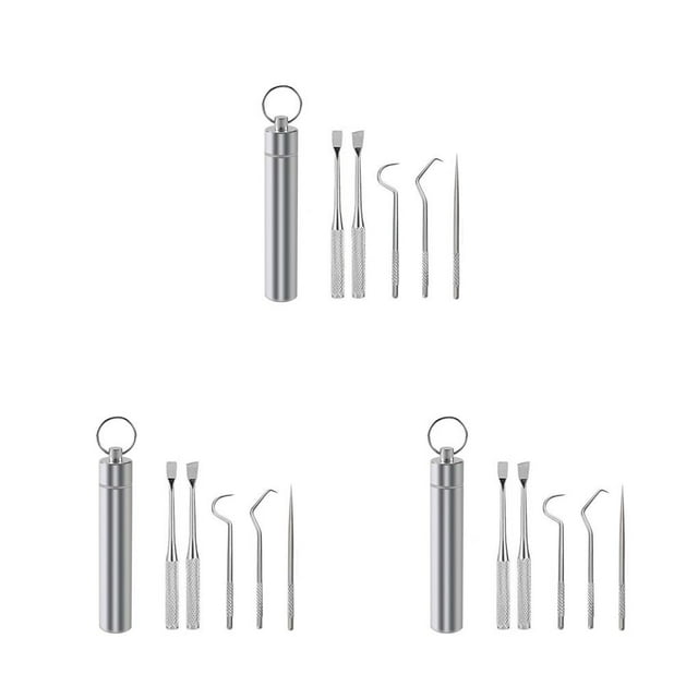 Toystoory Palillo de de acero inoxidable 304 para viajes al aire libre, palillo de limpieza de dientes, barbacoa desmontable, tenedor de Type1 NO1