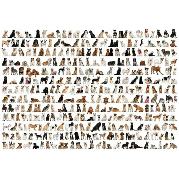1000 Piece Large Jigsaw Puzzle for Adults, Animals Images Assembling Jigsaw Puzzles, 1000 Pcs Jigsaw Puzzle Challenge Game Interesting Toys, Handmade Puzzles Personalized Gift (AA)