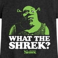 thumbnail image 3 of Shrek - What The Shrek - Toddler & Youth Girls Short Sleeve Graphic T-Shirt, 3 of 5