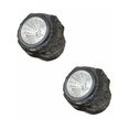 thumbnail image 1 of Set con 2 jardines solares con luz LED blanca de 12 cm de alto,, 1 of 5