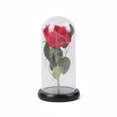 thumbnail image 3 of Lámpara LED con cubierta de cristal y rosa eterna, simulación de flor, regalo creativo de San Valentín Qixi, 3 of 5