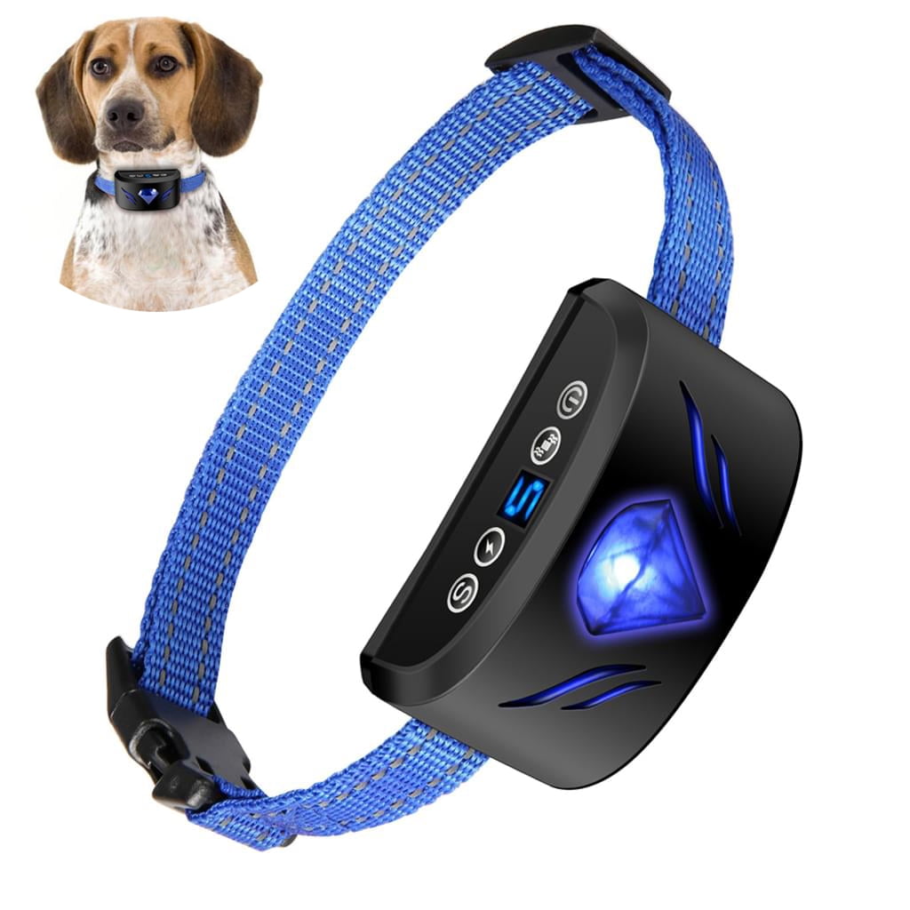 dog collar beep