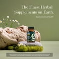 thumbnail image 4 of Gaia Herbs Gas & Bloating - Provides Relief from Occasional Gas & Bloating* - With Activated Charcoal, Fennel & Chamomile - 50 Vegan Capsules (25 Servings), 4 of 11