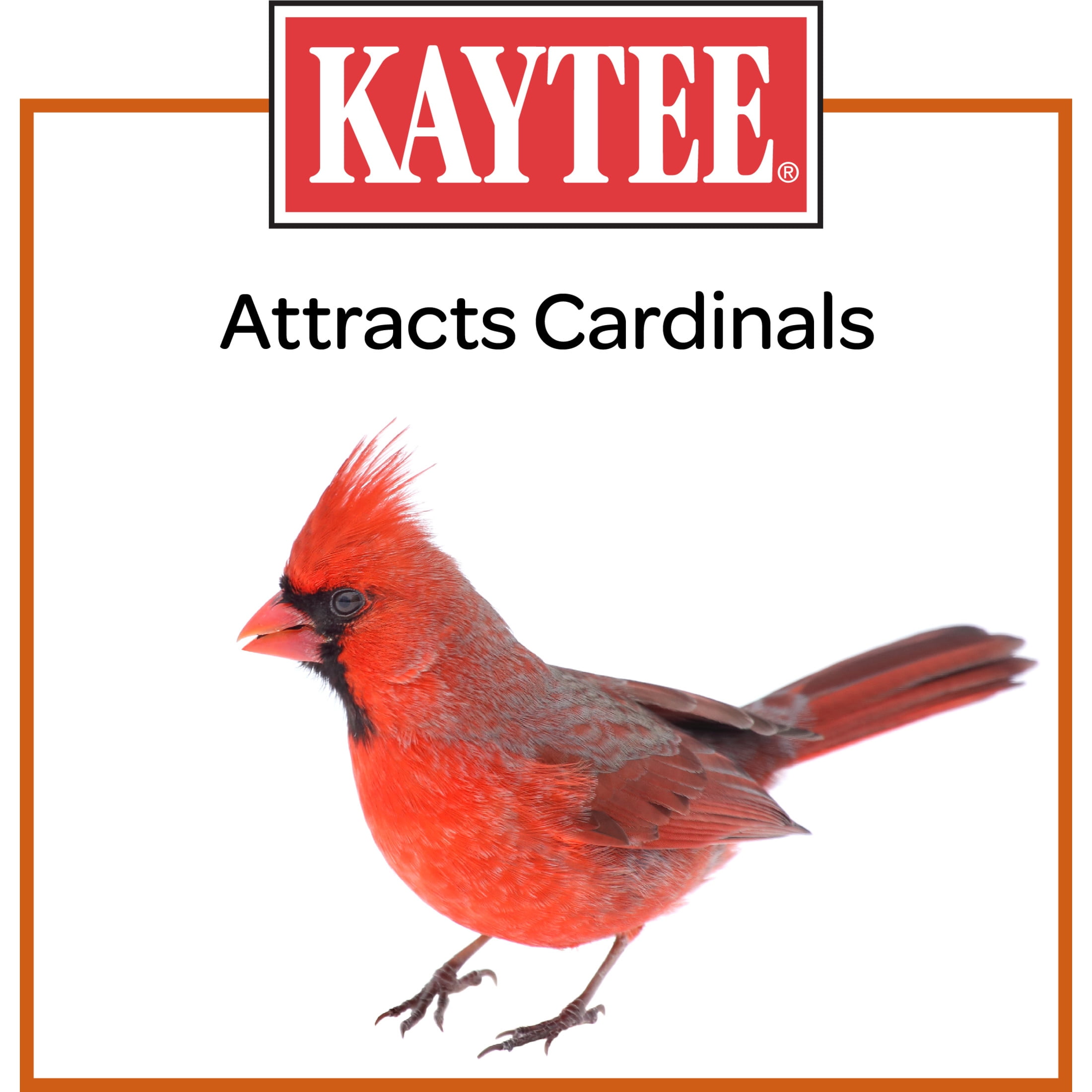 Kaytee Supreme  Dry Wild Bird Feed and Seed, Millet Free Blend, 25 lb. Bag, 1 pack