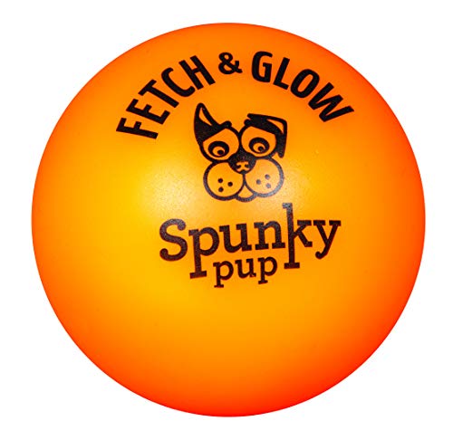 fetch and glow ball