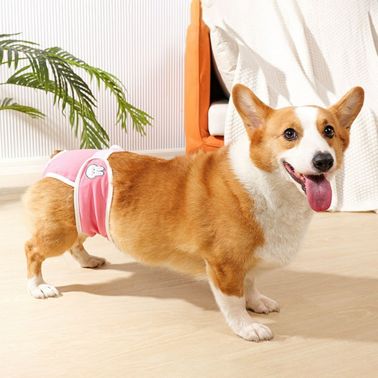Frogued Pet Menstrual Pants Female Dog Diapers Sanitary Panties Breathable  Dog Period Pads Underwear for Small Medium Dogs (Blue,S)