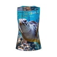thumbnail image 5 of Fotbe Sea Turtle Swims Womens Loose Fit Casual Flowy Slim-Fit Tank Tops Athletic Round Neck Trendy Sleeveless Summer Tops for Gym and Yoga-, 5 of 9