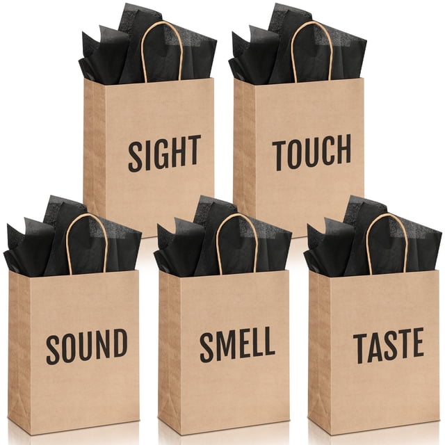 Kolldenn 5 Bolsas de Regalo de Papel Kraft 21x11x27 cm Juego