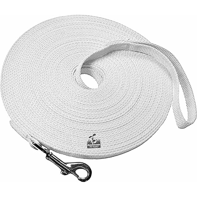 GFDYREE Dog/Puppy Obedience Long Recall Training Agility Lead Leash - Perfect for Pet Behavior Training, Multiple Sizes (150 ft, Light Gray)