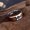 Steel Color-6, variant on Men's Fashion Stainless Steel Minimalist Ring With Tree Engraving, 8mm Width, Simple And Elegant Design,Steel Color-8