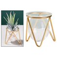 thumbnail image 3 of 2 Jarrones De Cristal Para Plantas Hidropónicas, Marco De Maceta Para Bonsái, Decoración Del Hogar, 3 of 7