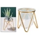 thumbnail image 3 of para Plantas Hidropónicas, para Bonsái, Decoración para hogar perfecl Jarrón floral geométrico, 3 of 7