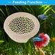 thumbnail image 5 of Cueva Escondite para Betta de Bargains Únicos, Escondite Flotante para Betta, Hamaca Multifuncional para Peces Betta Beige, 5 of 6