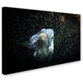thumbnail image 2 of Trademark Fine Art "Out of the Darkness" Canvas Art by Yale Gurney, 2 of 3