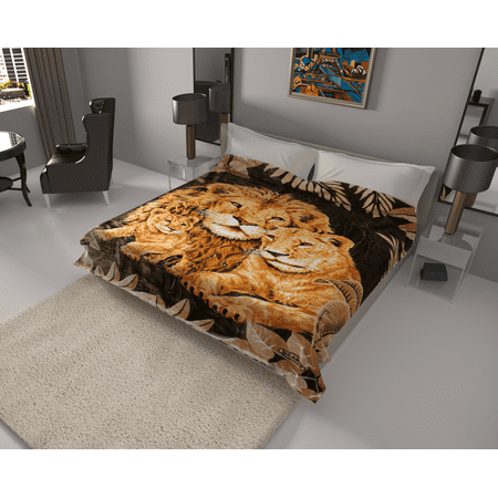 Solaron Silky Soft Heavy Duty Korean Mink Reversible Bed Blanket, King Bed Size - Machine Washable