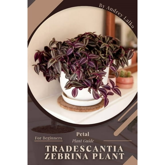 Tradescantia Zebrina Plant: Prodigy Petal, Plant Guide